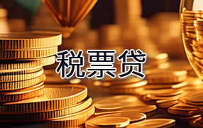 遵义税票贷